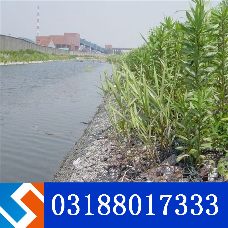 �ؑc�����L�������e��\�o���C���������ڹ���