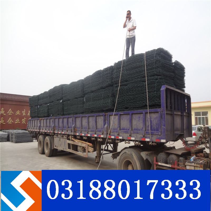 雷諾護墊和賓格籠是一個產品嗎? 雷諾護墊和賓格籠是一個產品嗎?