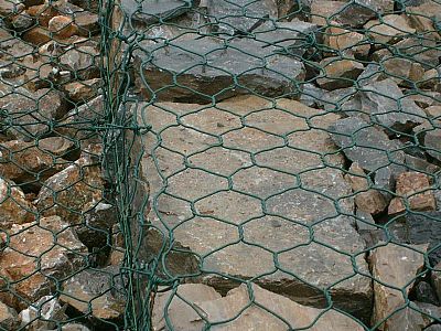 西湖退田還湖石籠網改造應用